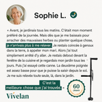 Canne d'appui relève-facile Vivélan