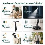 Canne d'appui relève-facile Vivélan