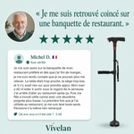 Canne d'appui relève-facile Vivélan