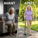 Canne d'appui relève-facile Vivélan