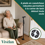 Canne d'appui relève-facile Vivélan