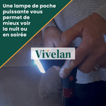 Canne d'appui relève-facile Vivélan