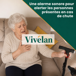 Canne d'appui relève-facile Vivélan