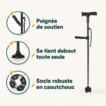Canne d'appui relève-facile Vivélan