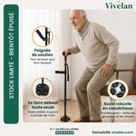 Canne d'appui relève-facile Vivélan
